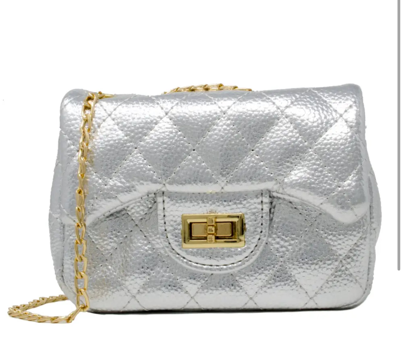 Classic Silver Metallic Bag