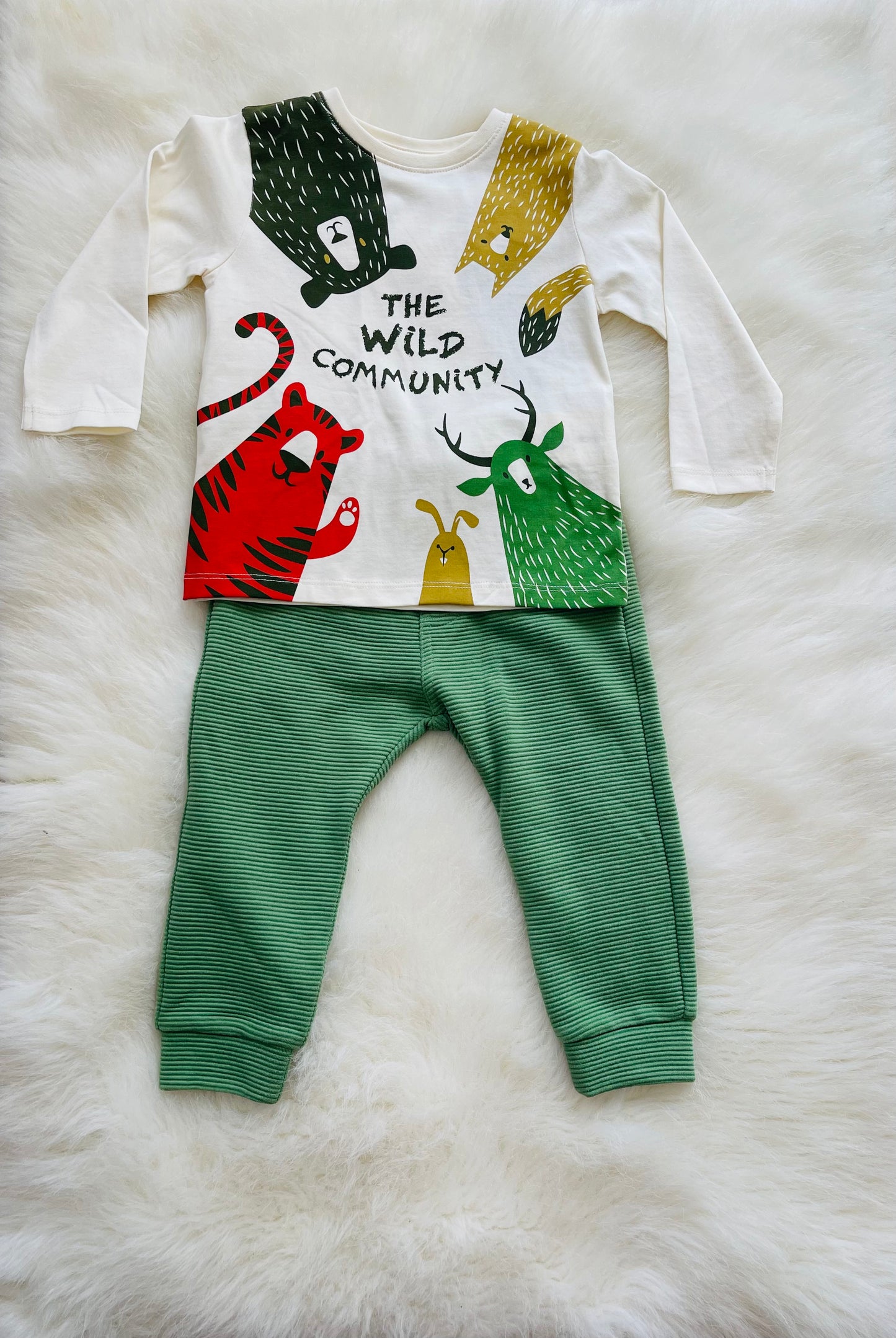 The Wild Community Joggers Set- 12m