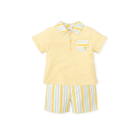TP Conjunto Amarillo